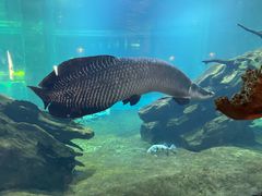 -华夏文旅西安度假区