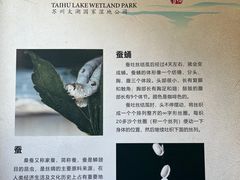 -苏州太湖国家湿地公园