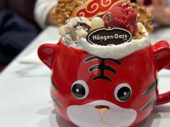 虎虎生威外带冰淇淋杯-哈根达斯(青岛海信店)