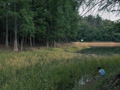 -青龙山国家森林公园