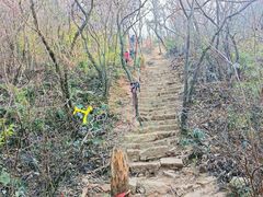 -灵岩山风景区