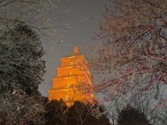 -大雁塔北广场音乐喷泉