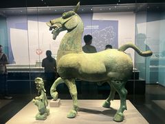 -广西壮族自治区博物馆