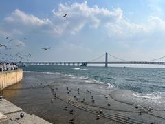 -星海广场