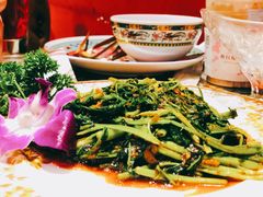 虾酱空心菜-小娘惹厨房Little Nyonya(狮城有约上榜店)