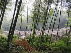 -山沟沟景区
