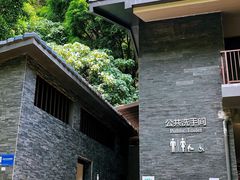 -银湖山郊野公园-相思林