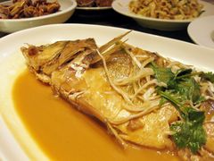 大海鲈家常烧-醉胶东(友谊店)