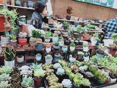 -秦美花卉(天朗·莱茵小城2期店)