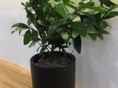 -牛宝贝秘制鲜锅(吾悦广场店)