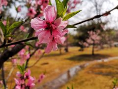 -河南师范大学(主校区)