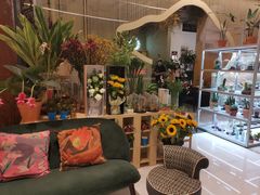-PlantsEatery·植物食堂(REX春熙店)
