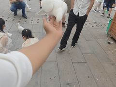 -天津妈祖文化园