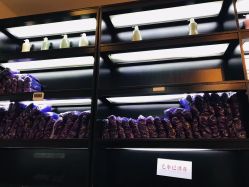 -木北护肤造型