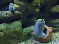 -蓬莱欧乐堡海洋极地世界