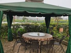 -苏记溪河鲢鱼庄(天府新区店)