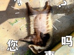 -云南野生动物园