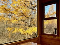 -莫尔道嘎国家森林公园