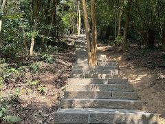 -梧桐山风景名胜区