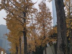 -重庆市江北嘴中央商务区中央公园