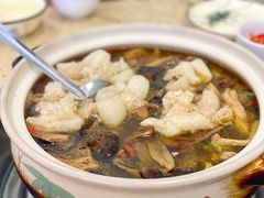-杨记山珍鸡煲菌汤锅