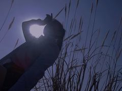 -白鹭湾湿地公园