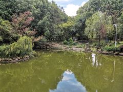-新洲生态园