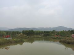 -天适樱花悠乐园