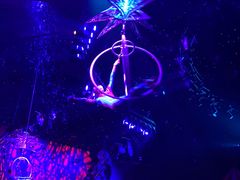 -珠海横琴长隆《卡卡虎奇遇记》