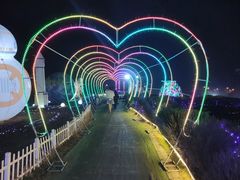 -大塘金香草谷