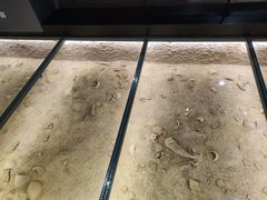-泸州老窖景区