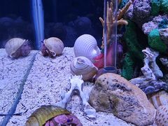 -太平洋海底世界