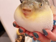 -永安鱼庄·镇江菜(东吴路店)