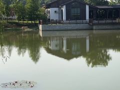 -苏州上方山国家森林公园
