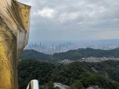 -大金鹰园