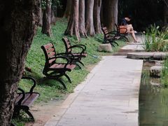 -深圳仙湖植物园