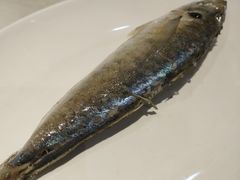 -长平老姿娘夜粥(平东一街店)