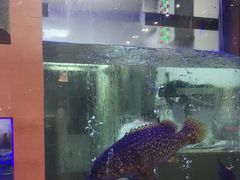 -安蒂娅.悦景轩中餐厅(西乡店)