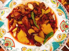 -巴依老爷新疆美食(望京小街店)