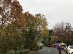 -塔川景区