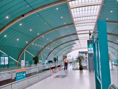 -龙阳路磁悬浮列车总站-停车场