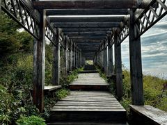 -白草畔自然风景区