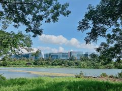 -华侨城湿地公园