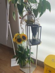 点击看大图 -杭州海亮医院 · 禾芸嘉医美中心