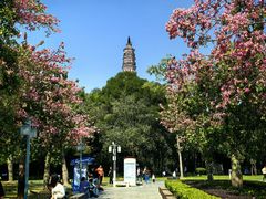 -顺峰山公园