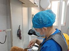 -宠福鑫康馨动物医院·骨科·眼科