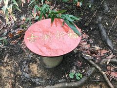 -山王坪喀斯特国家生态公园
