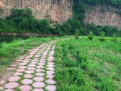 -黄椅山火山森林公园