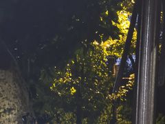 -随意茶庄·地道杭帮农家菜(梅家坞店)