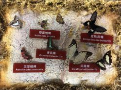 -天空之城家庭互动游乐场